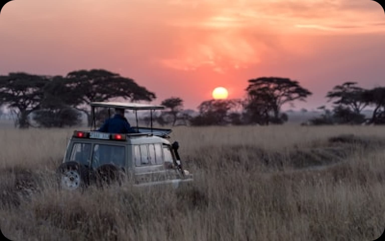 Kenya Safari Adventure package – Kenya Safari
