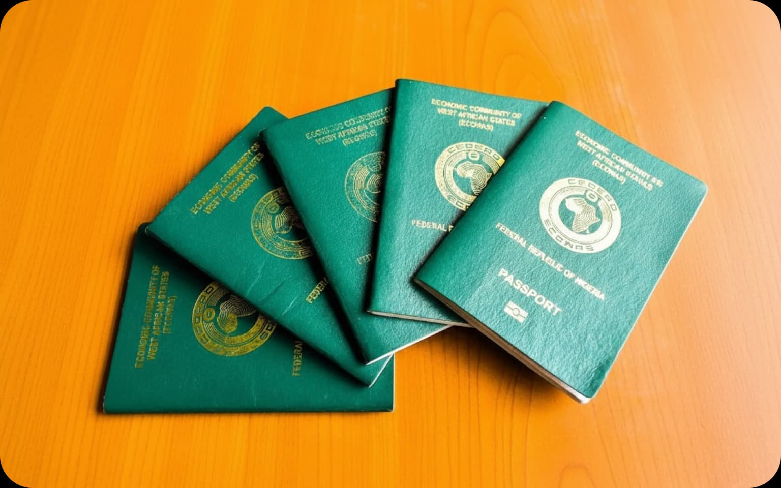 Passport with approved visa for Nigerian travellerVisa Services