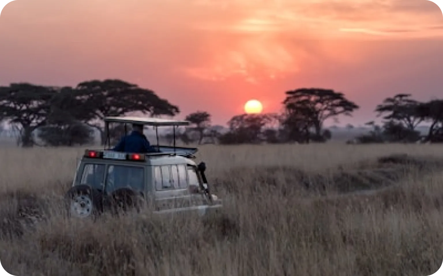 kenya-safari-adventure.webp